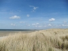 duenen