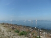 Strand und Segelschule im Yachthafen Bruinisse